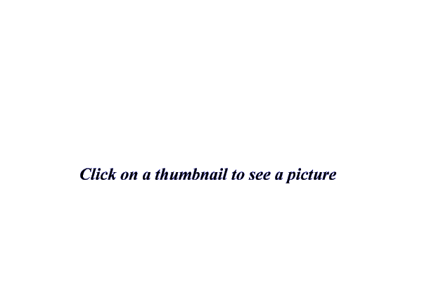 Click on a thumbnail to see a picture