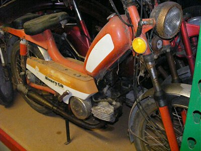 Honey 50