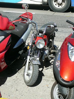 Monkey Bike in Córdoba