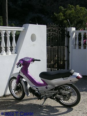 Purple step-through