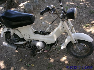 Honda Chaly