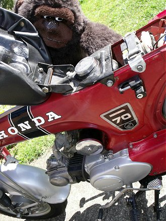 Honda Dax