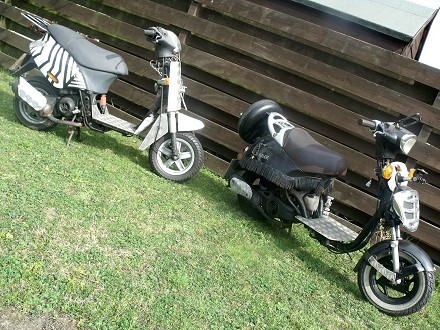 ‘Dazzle’ & Dalek’