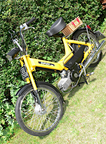 Puch–Avello Maxi