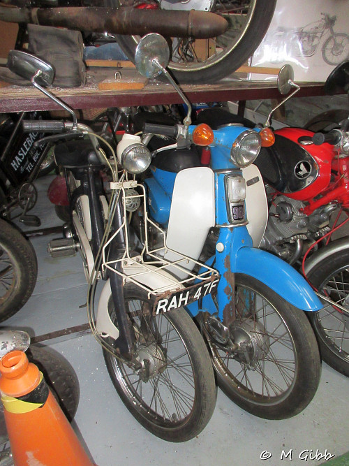 P50 & C90