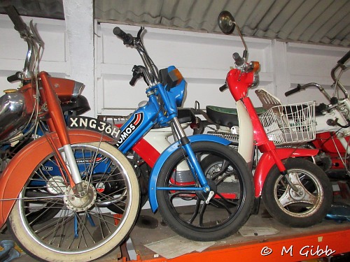 Tomos & Honda