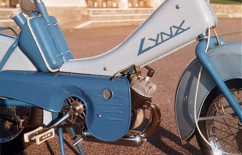 Lynx—Close-up