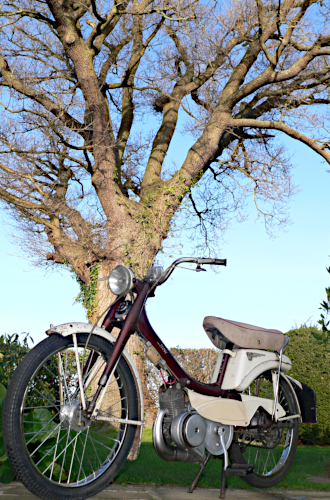 Raleigh RM9+1