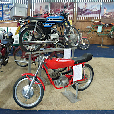 Guazzoni at Copdock Show