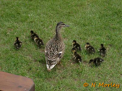 A group of interested spectators