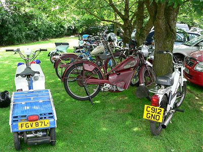 Parking in the shade