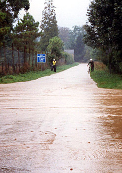 NACC Sandringham Run 1995