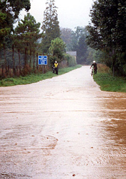 NACC Sandringham Run 1995