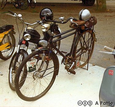 Mosquito and Puch