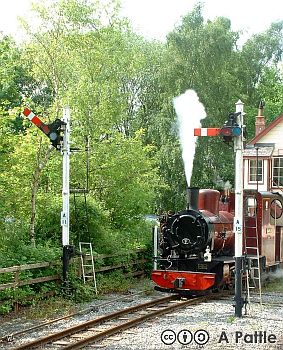 NACC CtC Ride, Alston