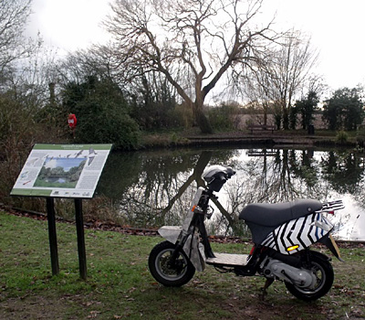 'Dazzle' at Chestnut Pond