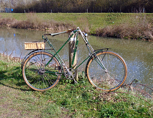 Dursley Pedersen by the River Mole at Hersham