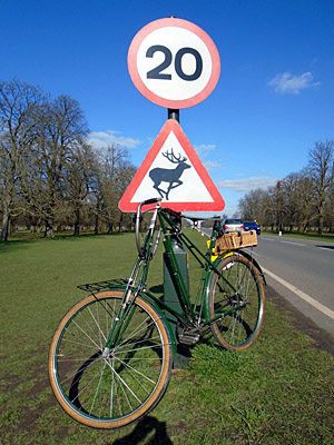 Dursley Pedersen at Bushey Park