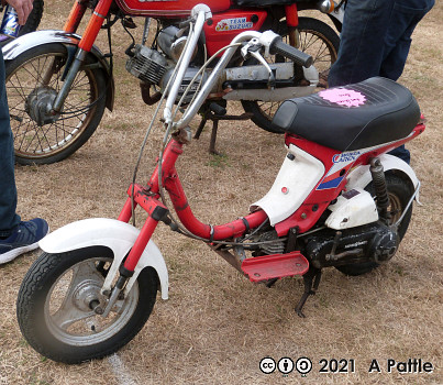 Around the jumble at Copdock Show