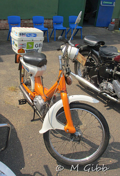 SAHG Summer Show 2023