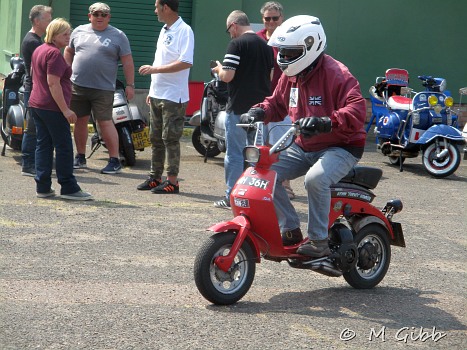 SAHG Summer Show 2023