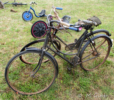 Weeting Steam Rally