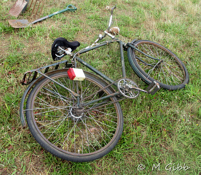 Weeting Steam Rally