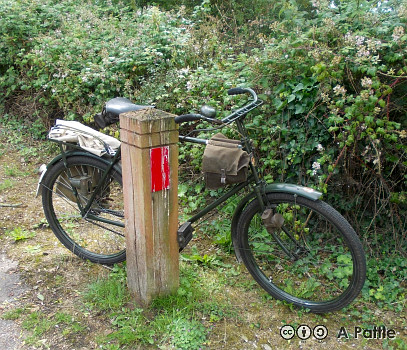 The Airborne Ride, 2023