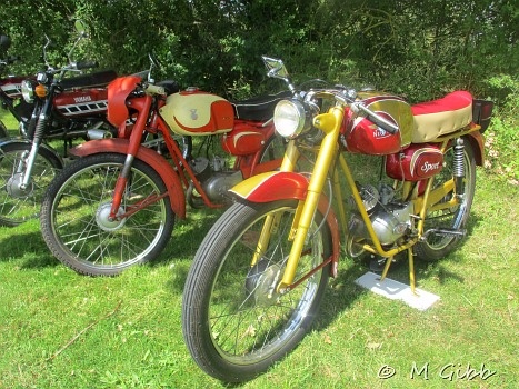 Worlingworth Charity Bike Show