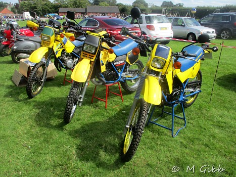 Worlingworth Charity Bike Show