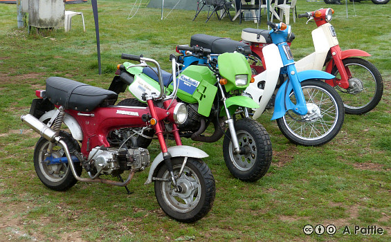 The TWONC stand