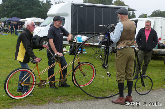In the jumble at Copdock Show