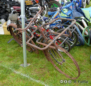 In the jumble at Copdock Show