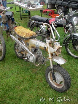 In the jumble at Copdock Show