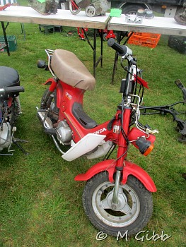 In the jumble at Copdock Show