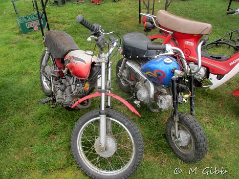 In the jumble at Copdock Show