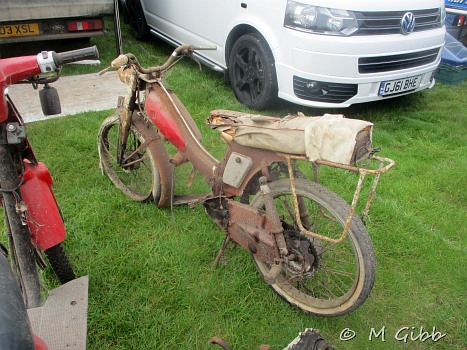 In the jumble at Copdock Show