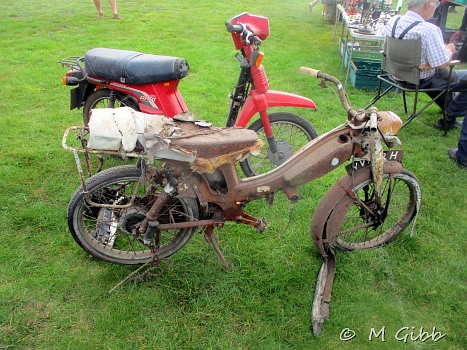 In the jumble at Copdock Show