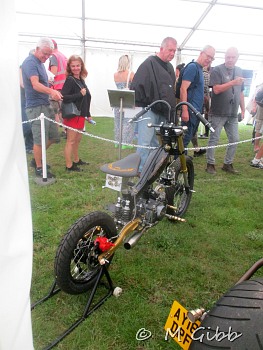 Among the Custom Bikes