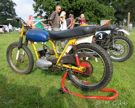 Henham Steam Rally