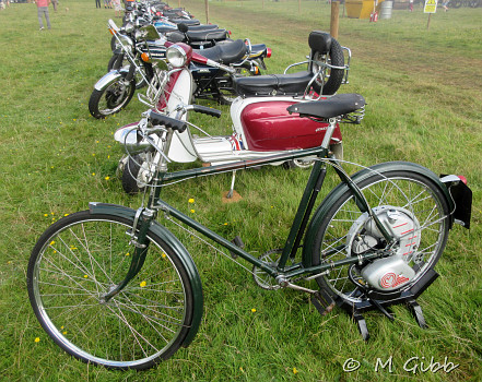 Henham Steam Rally