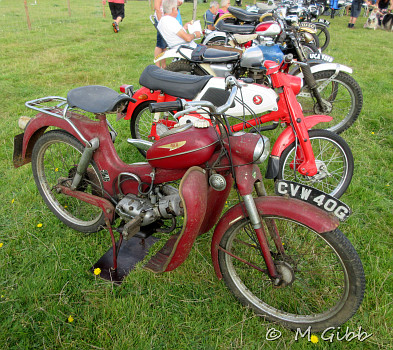 Henham Steam Rally