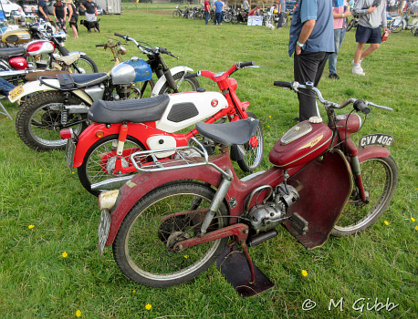 Henham Steam Rally