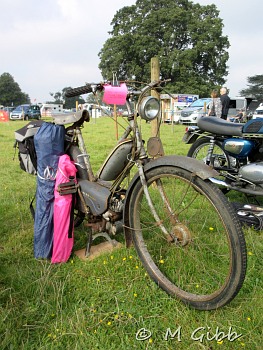 Henham Steam Rally