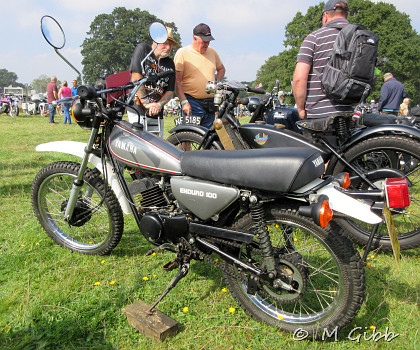 Henham Steam Rally