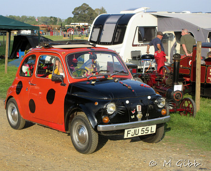 Henham Steam Rally