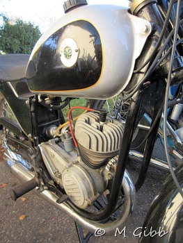 Ossa