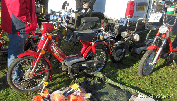Jailing Easy-Rider