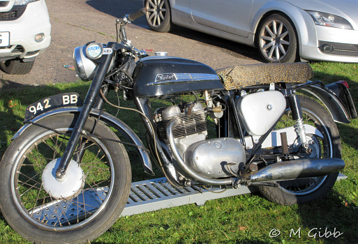 Norton