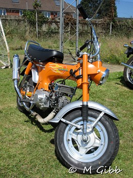 Sizewell Classics Show